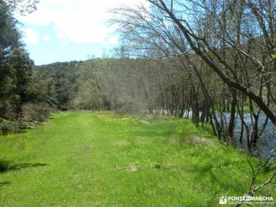 Río Cega,Santa Águeda–Pedraza; laguna del duque ciudad encantada de tamajón anillo picos de eur